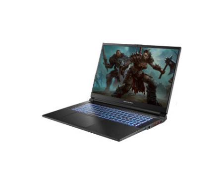 Ноутбук Dream Machines RG4050-17 (RG4050-17UA24)