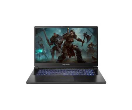 Ноутбук Dream Machines RG4050-17 (RG4050-17UA23)