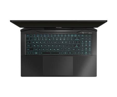 Ноутбук Dream Machines RG4050 (RG4050-17UA21)