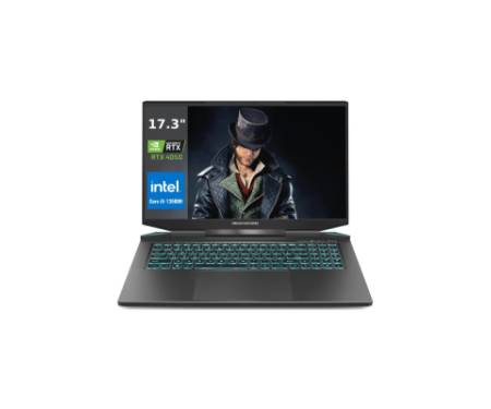 Ноутбук Dream Machines RG4050 (RG4050-17UA21)