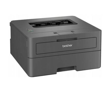 Принтер Brother HL-L2402DYJ1