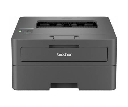 Принтер Brother HL-L2442DWYJ1