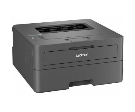 Принтер Brother HL-L2442DWYJ1