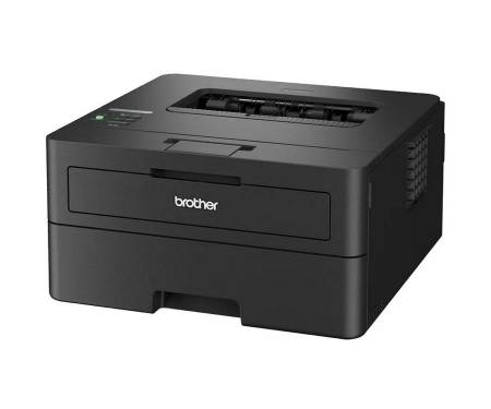 Принтер Brother HL-L2460DNYJ1