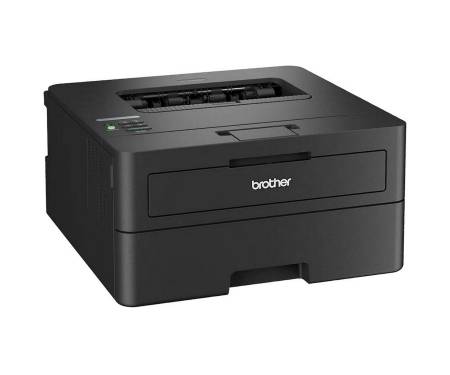 Принтер Brother HL-L2460DNYJ1