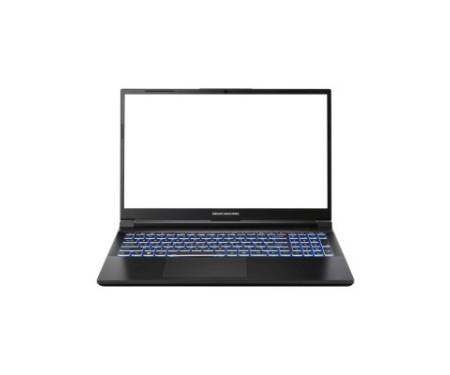 Ноутбук Dream Machines RG4050-17 (RG4050-15UA29)
