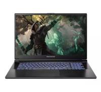Ноутбук Dream Machines RG3050-17 (RG3050-17UA37)