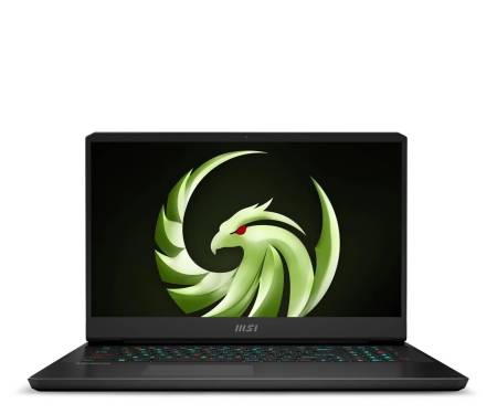 Ноутбук MSI Alpha 17 (C7VF-017XPL|20M2) 1