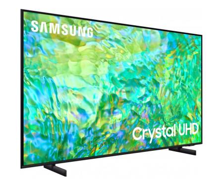 Телевізор Samsung UE43DU8002 3