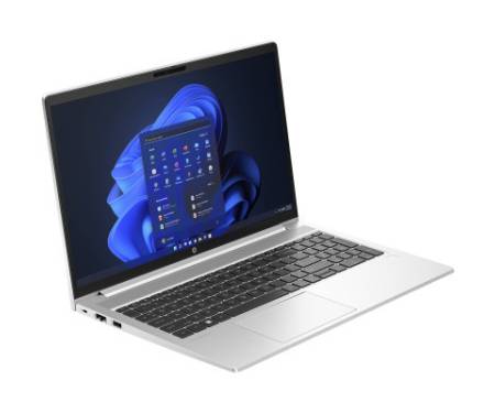 Ноутбук HP ProBook 455 G10 (719F9AV_V4)
