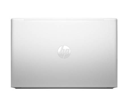 Ноутбук HP ProBook 455 G10 (719F9AV_V4)
