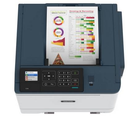 Принтер Xerox C310 + Wi-Fi (C310V_DNI)