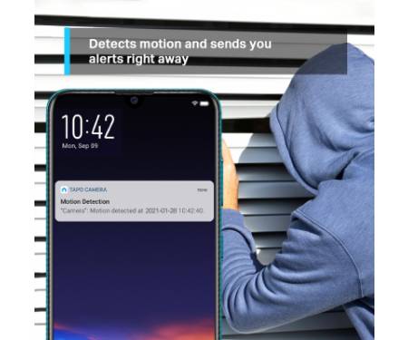 Камера відеоспостереження TP-Link Tapo-C210