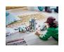 Конструктор LEGO City Гірськолижний і скелелазний центр 1045 деталей (60366)
