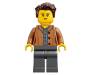 Конструктор LEGO Ideas Будинок на дереві 3036 деталей (21318)
