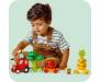 Конструктор LEGO DUPLO My First Трактор для вирощування фруктів та овочів 19 деталей (10982)