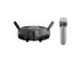 FPV очки + пульт DJI Goggles 2 Motion Combo (CP.FP.00000120.01) 1