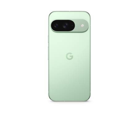 Смартфон Google Pixel 9 12/256GB Wintergreen (Japan) 4