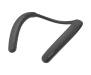 Портативная колонка Sony SRS-NB10 (Black)