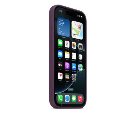 Чехол для Apple iPhone 16 Pro Silicone Case with MagSafe - Plum (MYYM3)