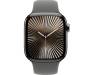 Apple Watch Series 10 GPS + Cellular 46mm Natural Titanium Case w. Stone Grey Sport Band - M/L (MWYA3) 2