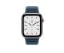 Apple Watch Series 9 GPS 41mm Silver Aluminum Case with Pacific Blue Magnetic Strap - S/M 2