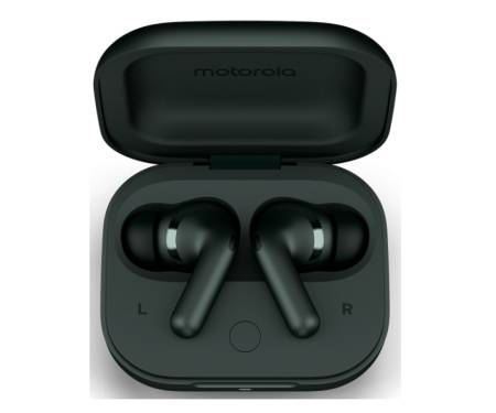 Наушники Motorola Moto Buds+ Forest Grey (PG38C05743)