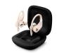 Наушники Beats by Dr. Dre Powerbeats Pro Ivory (MV722)