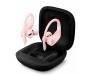 Наушники Beats by Dr. Dre Powerbeats Pro Cloud Pink (MXY72)