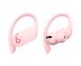 Наушники Beats by Dr. Dre Powerbeats Pro Cloud Pink (MXY72)