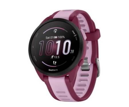 Смарт-часы Garmin Forerunner 165 Music Mist Berry/Lilac (010-02863-33/B3)