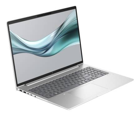 Ноутбук HP EliteBook 665 G11 Silver (8Z714AV) 4