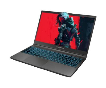 Ноутбук Dream Machines RG3050-15 (RG3050-15UA60)