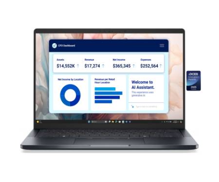 Ноутбук Dell Pro 14 (BTO207PA14250UA_W11P)
