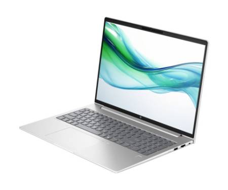 Ноутбук HP ProBook 460 G11 (8Z677AV_ITM2)