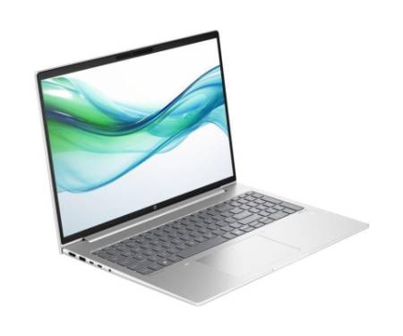 Ноутбук HP ProBook 460 G11 (8Z677AV_ITM1)