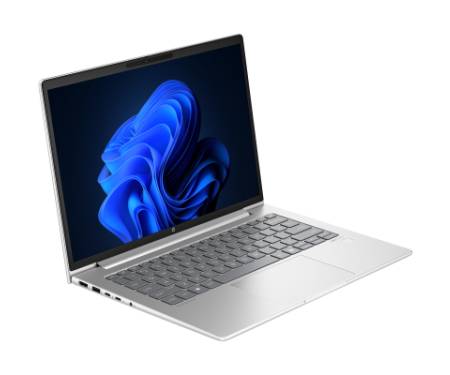 Ноутбук HP Probook 445 G11 (AD0T5ET)