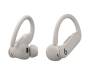 Навушники Beats byDre Powerbeats Pro 2 Quick Sand (MX733)