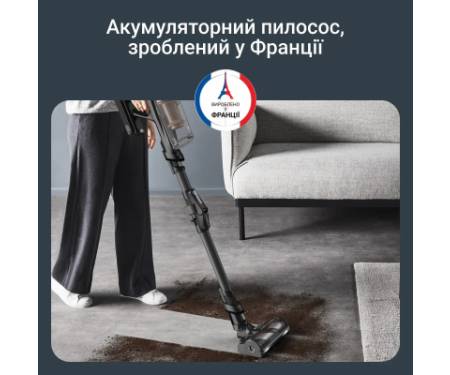 Пилосос Rowenta RH9B74WO