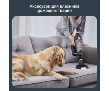 Пилосос Rowenta RH9B74WO