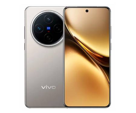 Смартфон Vivo X200 12/256Gb Titanium (Asia version)