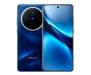 Смартфон Vivo X200 12/256Gb Blue (Asia version)