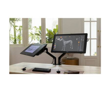 Планшет-монітор Huion Kamvas RDS-220 (RDS-220)