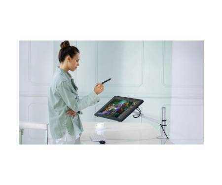 Планшет-монітор Huion Kamvas RDS-220 (RDS-220)