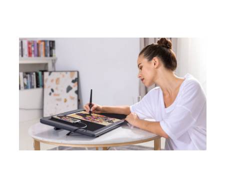 Планшет-монітор Huion Kamvas RDS-220 (RDS-220)
