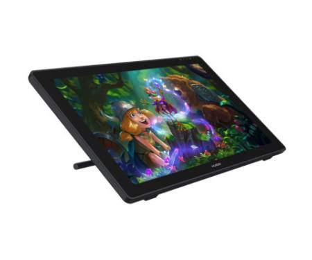 Планшет-монітор Huion Kamvas RDS-220 (RDS-220)
