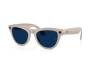 Смарт-окуляри Ray-Ban Meta Skyler Standard - Shiny Chalky Gray (RW4010 6700MF 52-20)