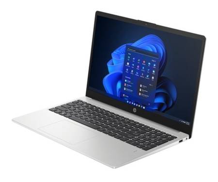 Ноутбук HP 255 G10 (AD1A9ET)