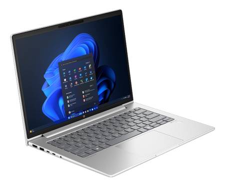 Ноутбук HP ProBook 445 G11 (A38DSET)