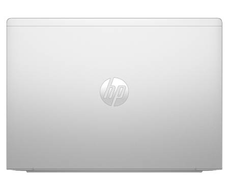 Ноутбук HP ProBook 445 G11 (A38DSET)